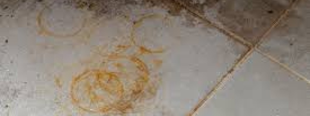 Yellow Spots and Rust Spots on Stone