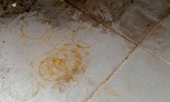 Yellow Spots and Rust Spots on Stone