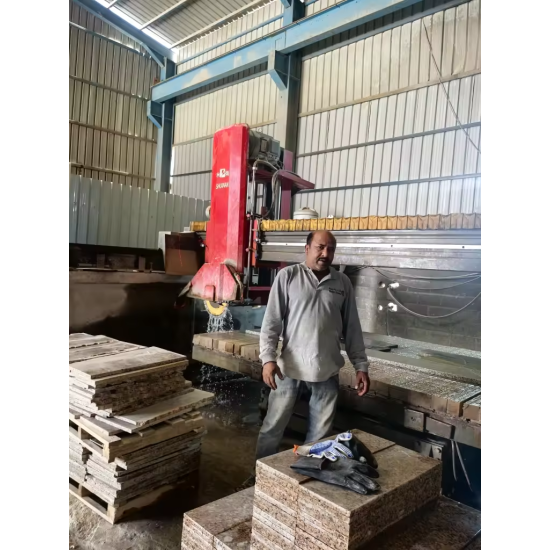 Infrared Bridge Type Cutting Machine HWXQJ-600